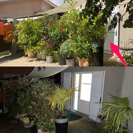 בית אירוח Maisonnette 300m